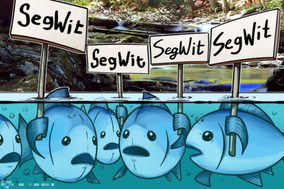 Segit Explained SegWit là gì? Cách hoạt động của Segwit trong Blockchain - xgems.net